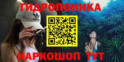 стаф Ставрополь