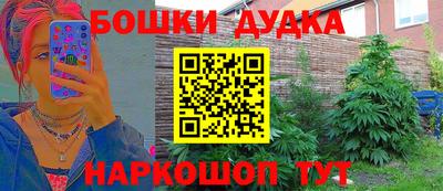 стаф Ставрополь