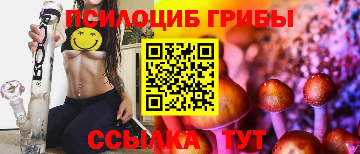 Новотроицк  Галлюциногенные грибы Psilocybe  Вход с VPN  Псилоцибиновые грибы Psilocybine cubensis 