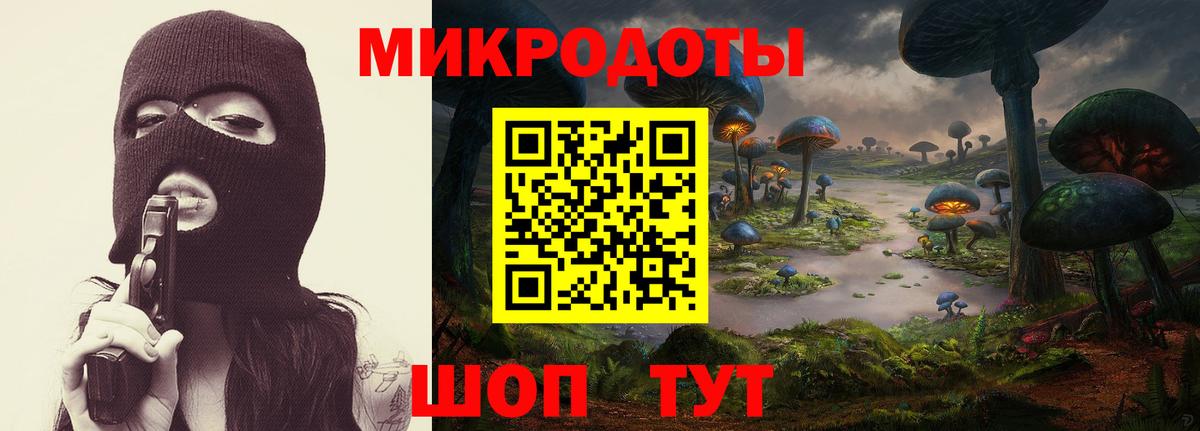 Галлюциногенные грибы GOLDEN TEACHER Новотроицк